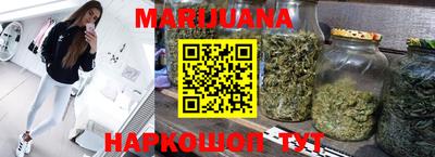 индика Пенза
