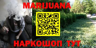 индика Пенза