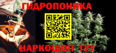 индика Пенза