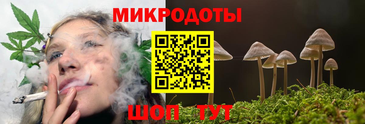Псилоцибиновые грибы прущие грибы Сергиев Посад