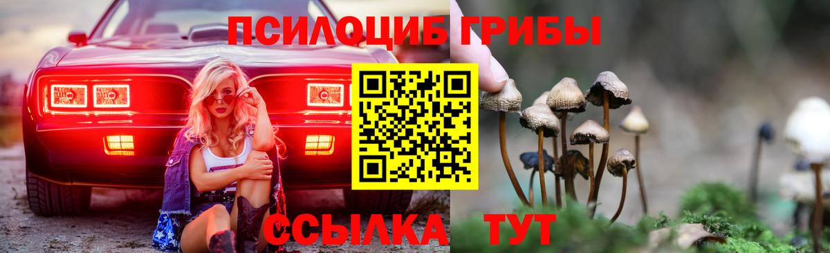 Псилоцибиновые грибы Psilocybe  Псилоцибиновые грибы GOLDEN TEACHER  Вход с VPN  Сергиев Посад 